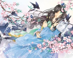 电视剧夜来香免费观看全集